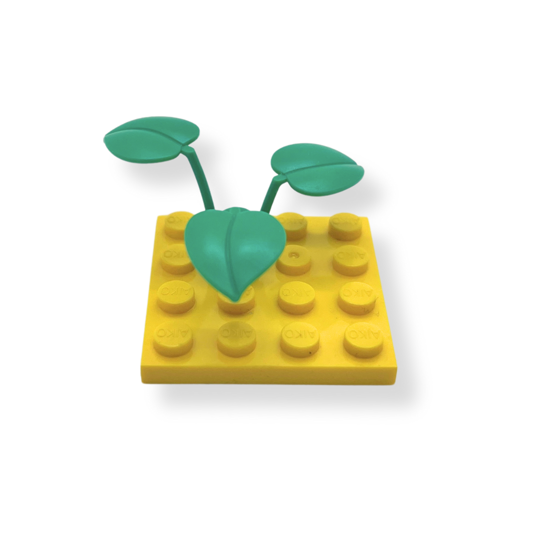 Plant- - Pack of 5 - Aiko