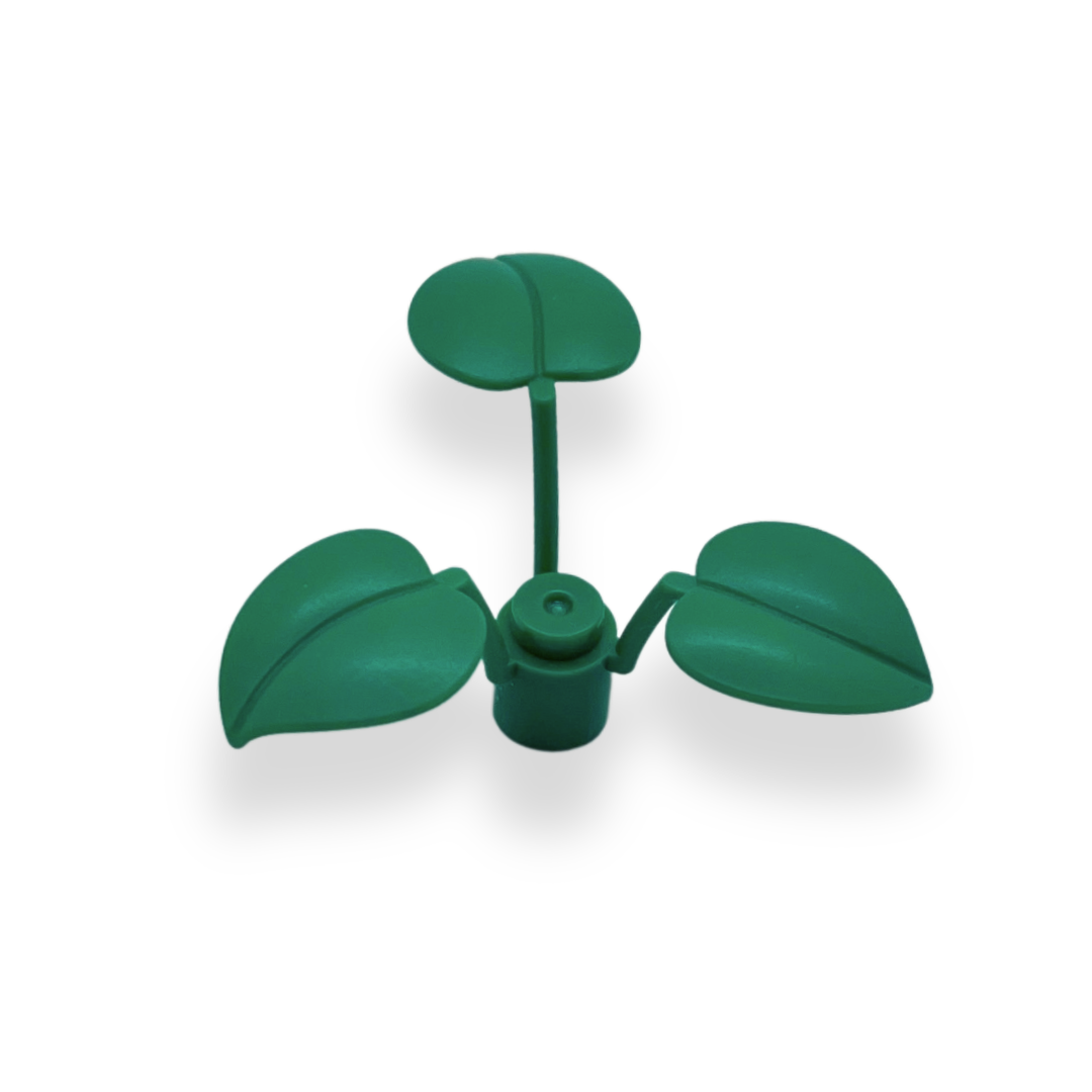 Plant- - Pack of 5 - Aiko